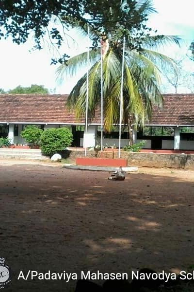 51748847 2223688714350244 4513758534990561280 N