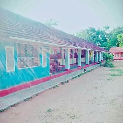 66524495 2471828702869576 3911052087944806400 N