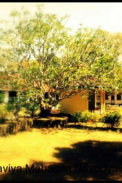 66635781 2471828996202880 261854977692008448 N