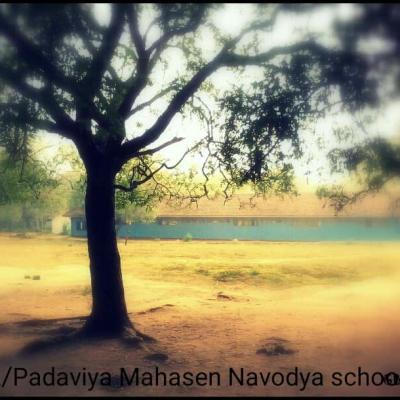 66682283 2471828902869556 2300869059127803904 N