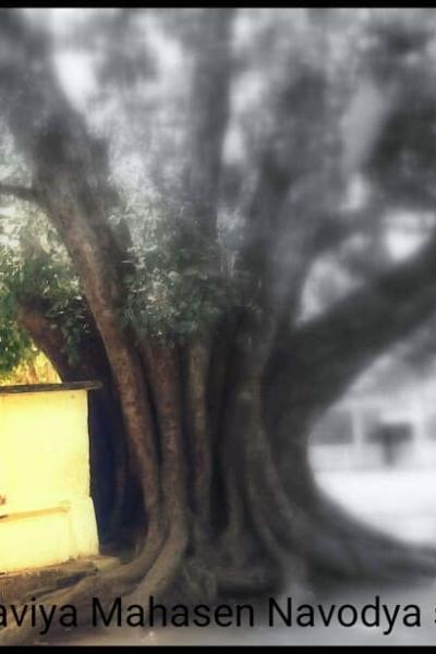 67308011 2471829392869507 316394473871376384 N