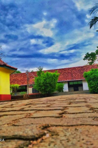 79010099 2450131748597827 2365175315233243136 N