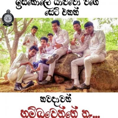 80990553 2817381128314330 6314930487353671680 N